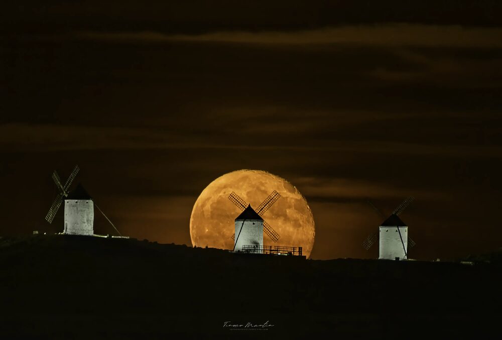 MOLINOS DE CONSUEGRA