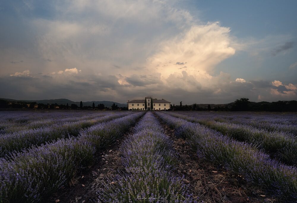 La Hacienda